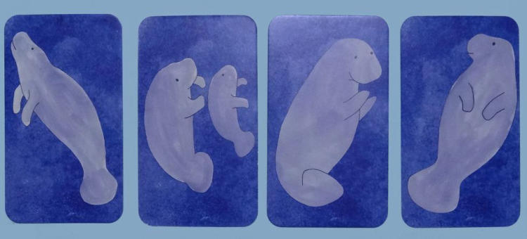 Matching Manatees image 2