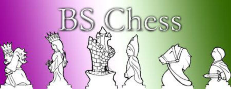 BS Chess (Bluffing Style Chess) image 4