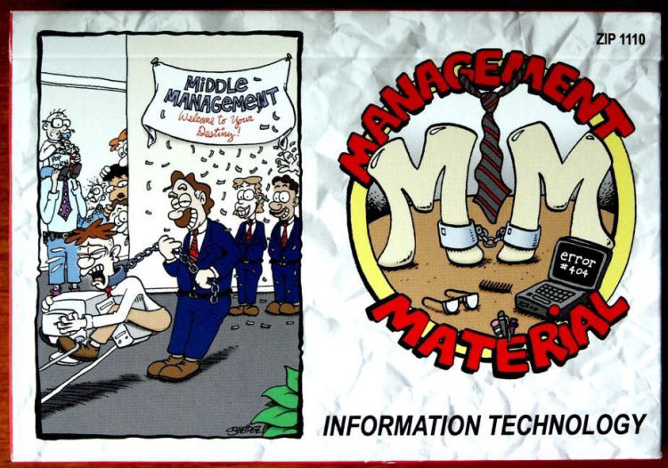 Management Material: Information Technology Edition image 1