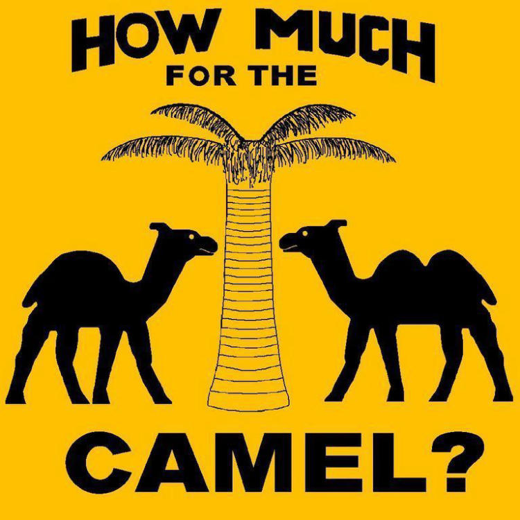 How Much for the Camel? image 1